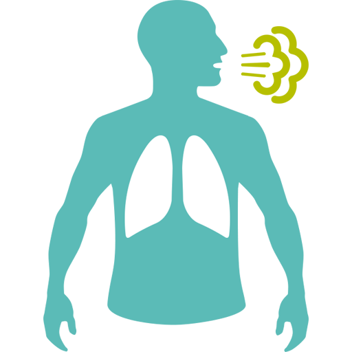 https://www.mediversal.in/wp-content/uploads/2022/10/Respiratory.png